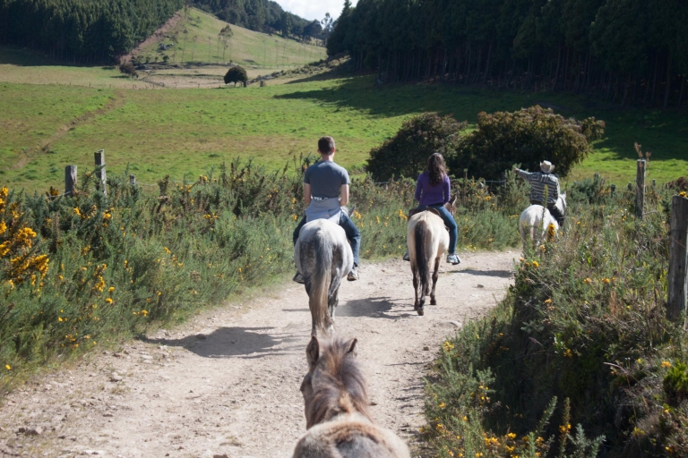 Bogotá: tour a caballoExcursión a caballo con guía