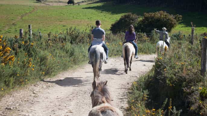 horseback riding tour