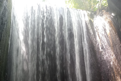 Discover Awesome Hidden Gems waterfalls Tour in Ubud Private Group with English Speaking Guide Tour