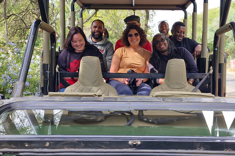 Johannesburg: Pilanesberg Nature Reserve Overnight Safari