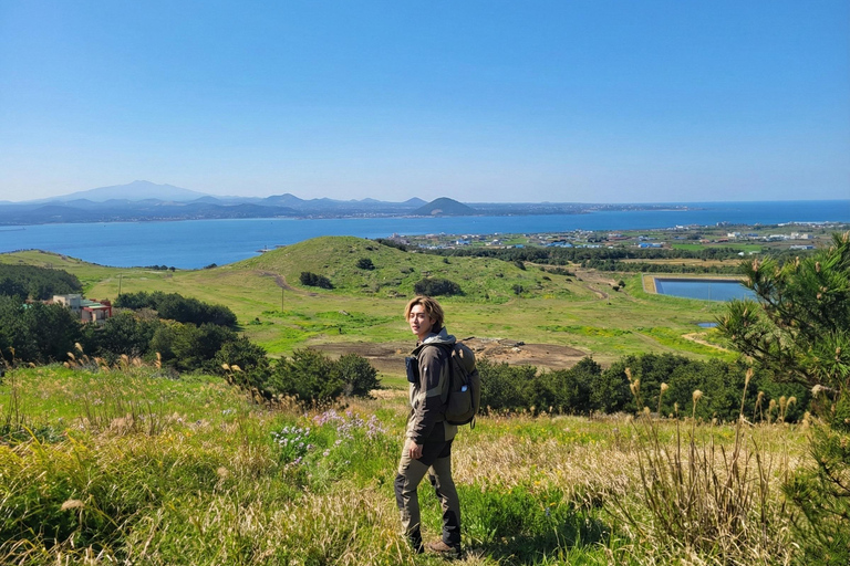 Jeju Island: Udo Island, Rail Bike, and Market Day Tour Private Tour (1-6pax) [9hr]
