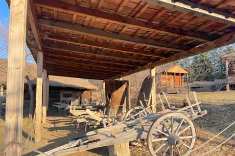 تبليسي: 12 منطقة في جورجيا - جولة مع خدمة النقل ذهابًا وإيابًا