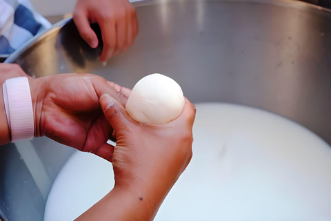 Amalfi: Milk the cows, Make Pasta, Mozzarella and Tiramisù! Private Cooking Class