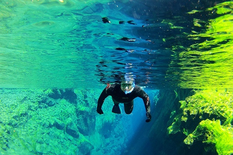 Vanuit Reykjavik: Silfra-snorkelen met onderwaterfoto'sOptie met een drysuit