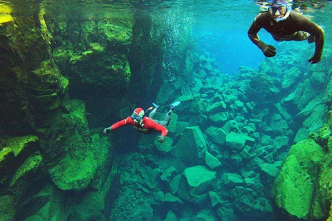 Vanuit Reykjavik: Silfra-snorkelen met onderwaterfoto'sOptie met een drysuit