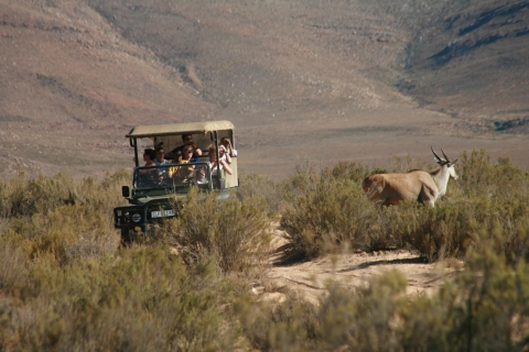 Ab Kapstadt: Rundfahrt nach Aquila mit Safari