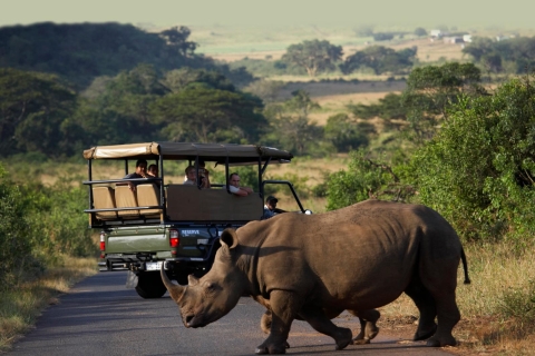 Ab Durban: Tagestour Hluhluwe-Umfolozi-Park für NaturfreundeStandard-Option