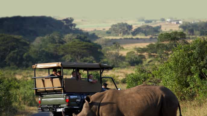 da durbanfull day hluhluweumfolozi park tour