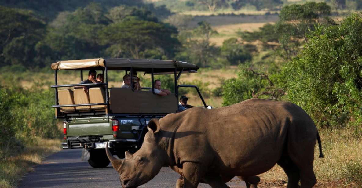 durban safari tour
