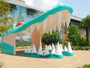 Wildes Orlando: Gatorland - Hauptstadt der Alligatoren Wildes Orlando: Gatorland - Hauptstadt der Alligatoren