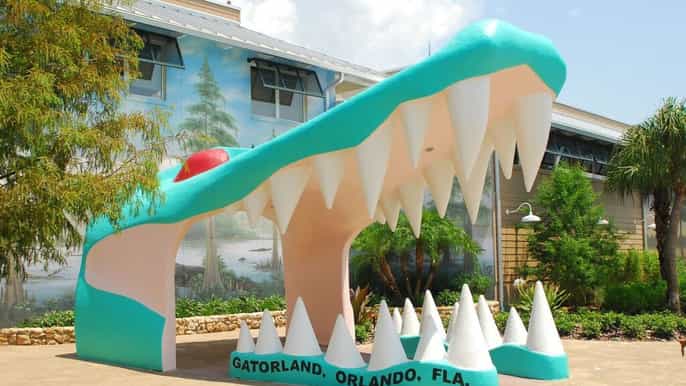 orlando gatorland la capitale mondiale degli alligatori