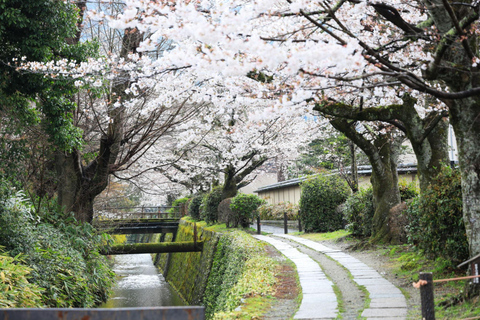 Kyoto: Ginkaku-ji & Philosopher's Path Walk & Tea Social