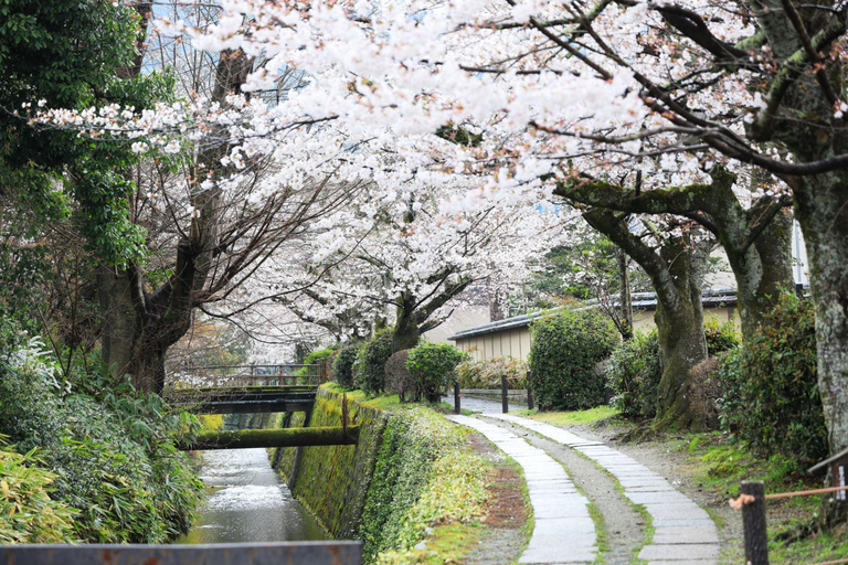 Kyoto: Ginkaku-ji & Philosopher's Path Walk & Tea Social