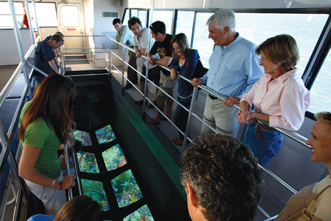 Cayo Hueso: tour ecológico por el arrecife en barco con fondo de cristalTour ecológico en barco con fondo de cristal por los arrecifes de Cayo Hueso