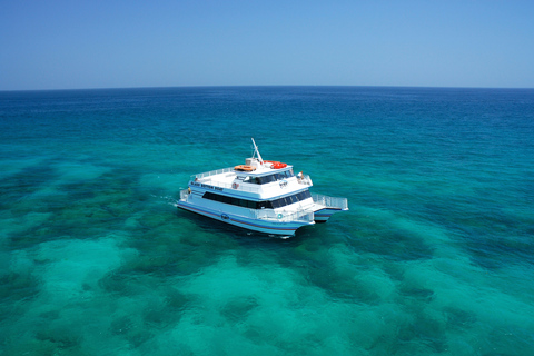 Cayo Hueso: tour ecológico por el arrecife en barco con fondo de cristalTour ecológico en barco con fondo de cristal por los arrecifes de Cayo Hueso