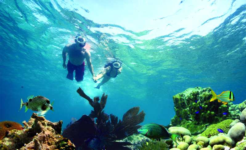 Key West: 3-Hour Snorkeling Adventure