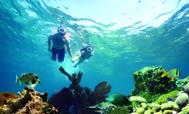 Visit Key West 3-Hour Snorkeling Adventure in Key West