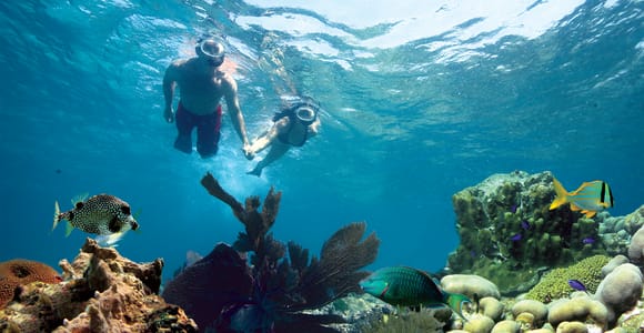 Key West: Reef Snorkeling with Drinks and Sunset Option