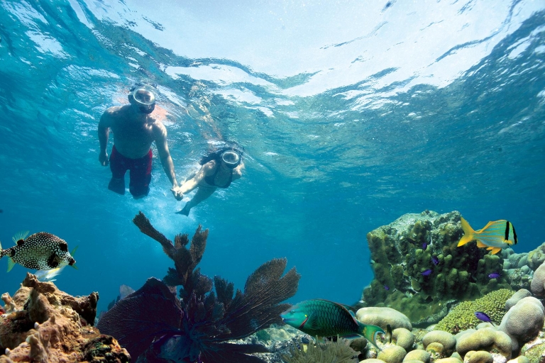 Key West: 3-Hour Snorkeling Adventure Afternoon Departure: Reef & Ritas Snorkeling Trip