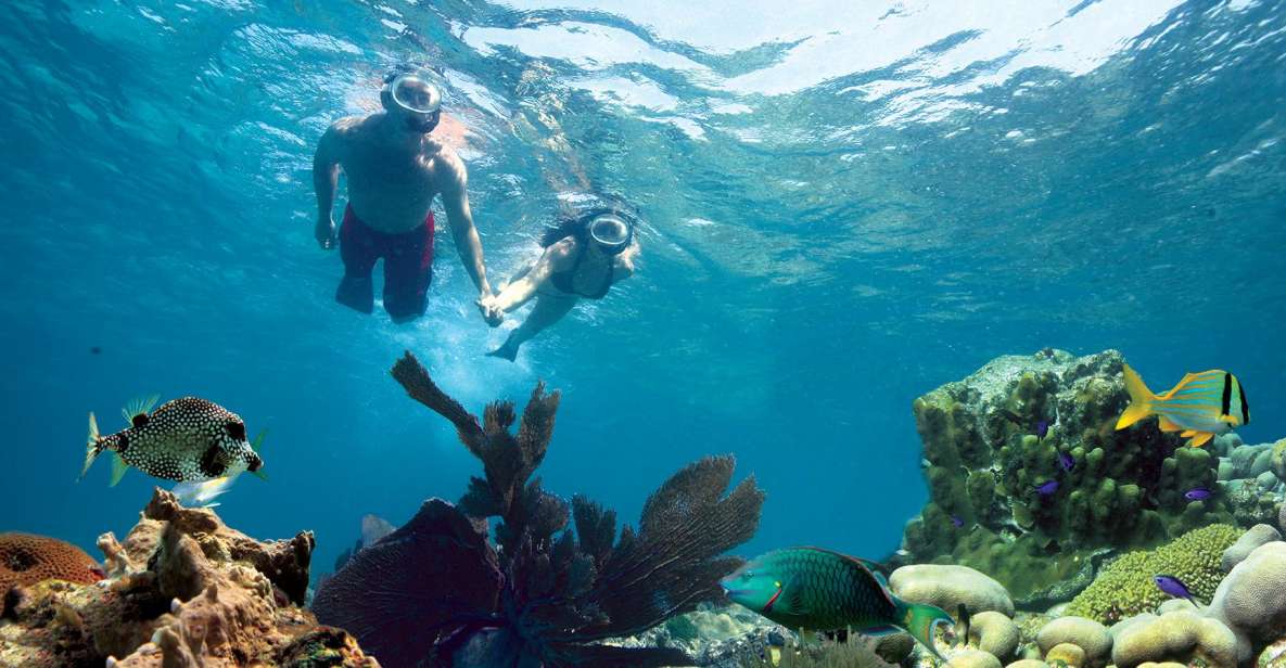 Key West: 3-Hour Snorkeling Adventure