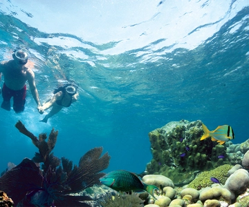 Key West: Reef Snorkeling with Drinks and Sunset Option