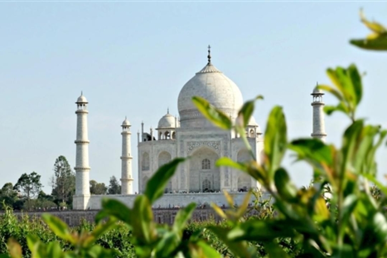 From Jaipur: Same Day Taj Mahal Tour Day Trip in Agra From Jaipur: Agra Taj Mahal Private One-Way Transfer