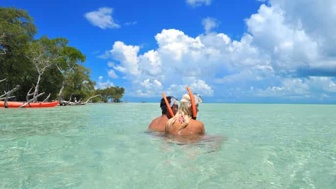 key west island adventure eco tour