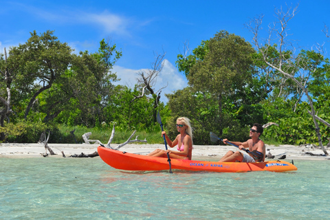 Tour ecologico dell&#039;avventura dell&#039;isola di Key West