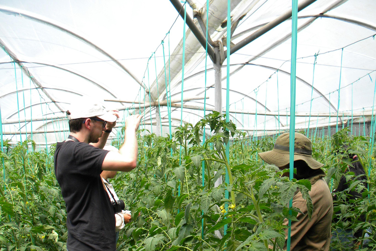 Quito: Nayón Village Tour with Farm Visit