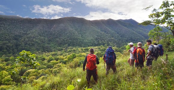 From Chiang Mai: High Mountain Day Trek