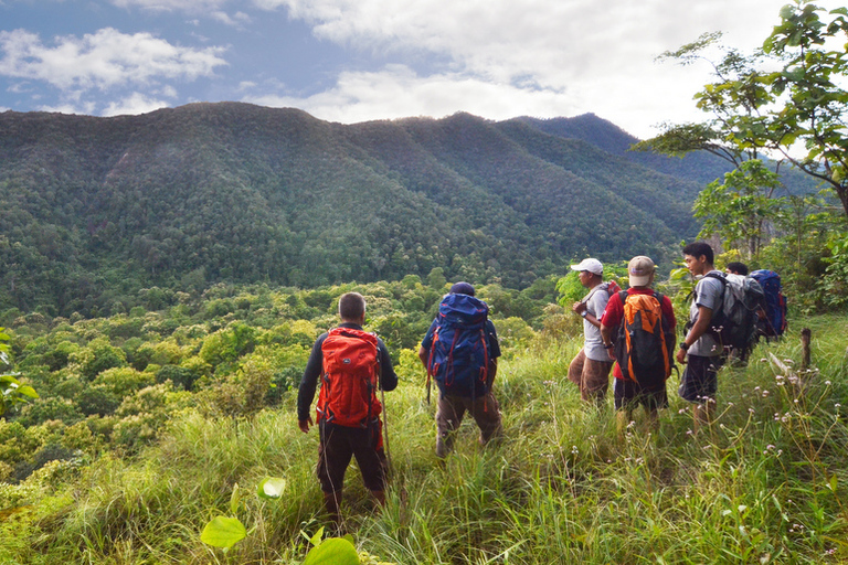 Z Chiang Mai: jednodniowy trekking wysokogórskiZ Chiang Mai: całodniowy trekking w wysokie góry