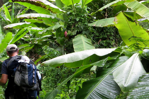 Da Chiang Mai: trekking di un giorno in alta montagnaChiang Mai: escursione di un giorno in alta montagna