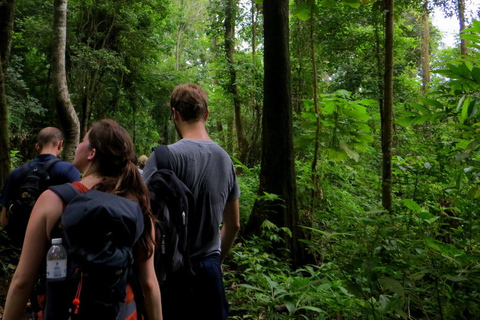 Z Chiang Mai: jednodniowy trekking wysokogórskiZ Chiang Mai: całodniowy trekking w wysokie góry