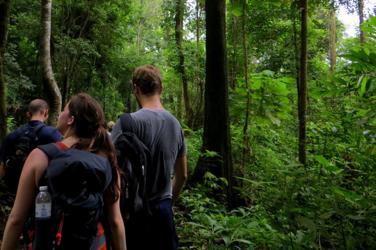 Z Chiang Mai: jednodniowy trekking wysokogórskiZ Chiang Mai: całodniowy trekking w wysokie góry