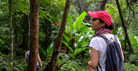 Von Chiang Mai: Mae Taeng Valley Wanderung & Radtour Tagestour