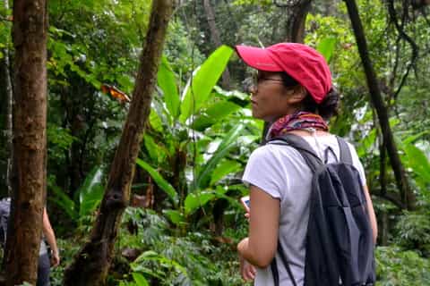 Valle de Mae Sa: tour en bici y a pie desde Chiang Mai