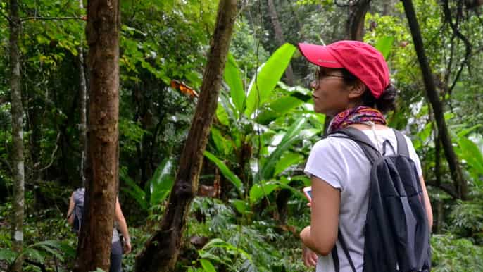 from chiang mai mae sa valley hike and bike day tour