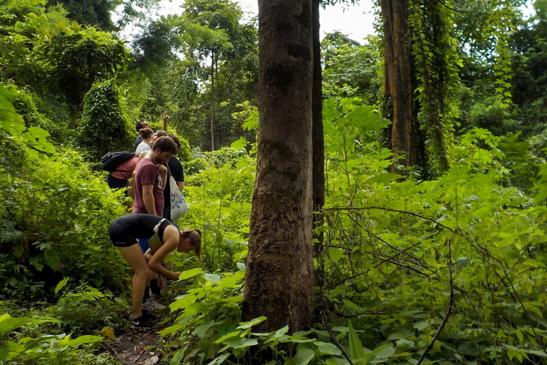 From Chiang Mai: Mae Taeng Valley Hike & Bike Day Trip