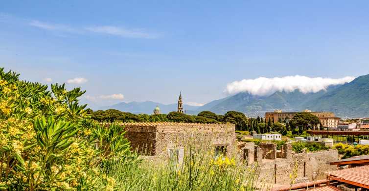 Z Rzymu: wycieczka całodniowa po Pompejach i Wezuwiuszu