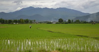 Von Chiang Mai, Mae Taeng Tal und Wasserfälle Fahrradtour - Hizvo