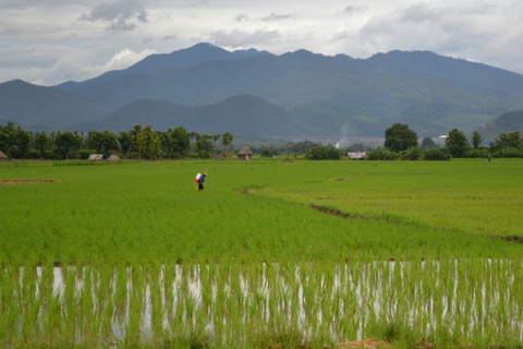 De Chiang Mai: Passeio de bicicleta pelo Vale Mae Taeng e CachoeirasDe Chiang Mai: vale Mae Taeng e passeio de bicicleta pelas cachoeiras