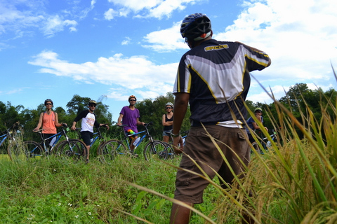 Au départ de Chiang Mai : Circuit cycliste de la vallée de Mae Taeng et des chutes d&#039;eau