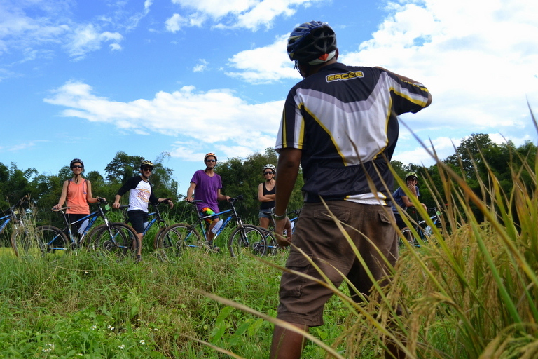 From Chiang Mai: Mae Taeng Valley and Waterfalls Cycle Tour