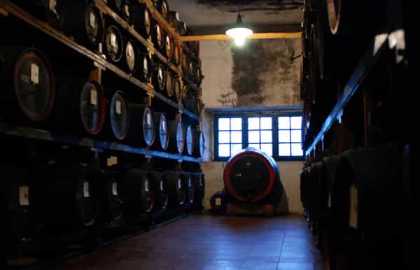 from florence fullday chianti wine san gimignano