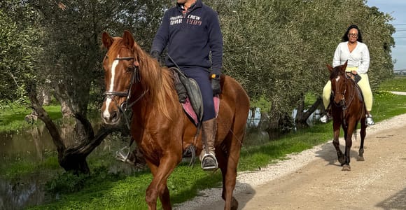 From Lisbon: Amazing Full-Day Tour with Horse Riding on the Beach