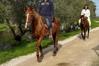 From Lisbon: Amazing Full-Day Tour with Horse Riding on the Beach