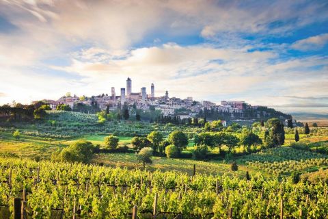 Siena 2-Hour Private Guided Walking Tour