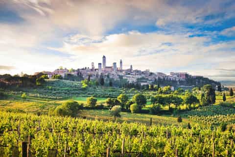 Siena 2 ore Private Tour escursioni guidate a piedi