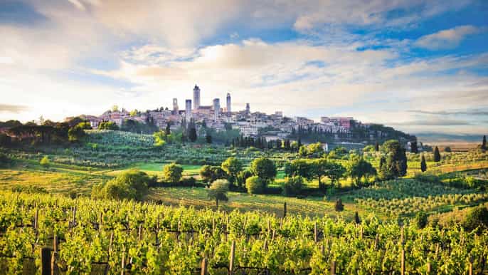 siena 2hour private guided walking tour