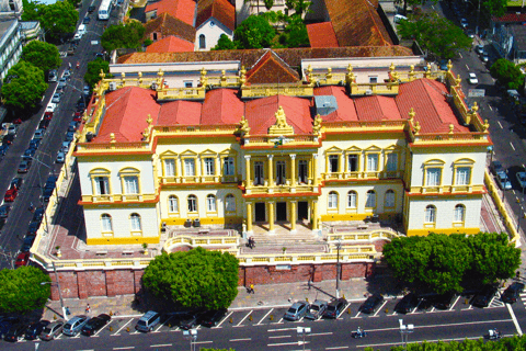 Stadsvandring i Manaus med Amazonas Theather